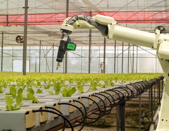Robotic Greenhouse Garden